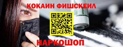 шишки Славгород