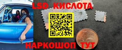 шишки Славгород