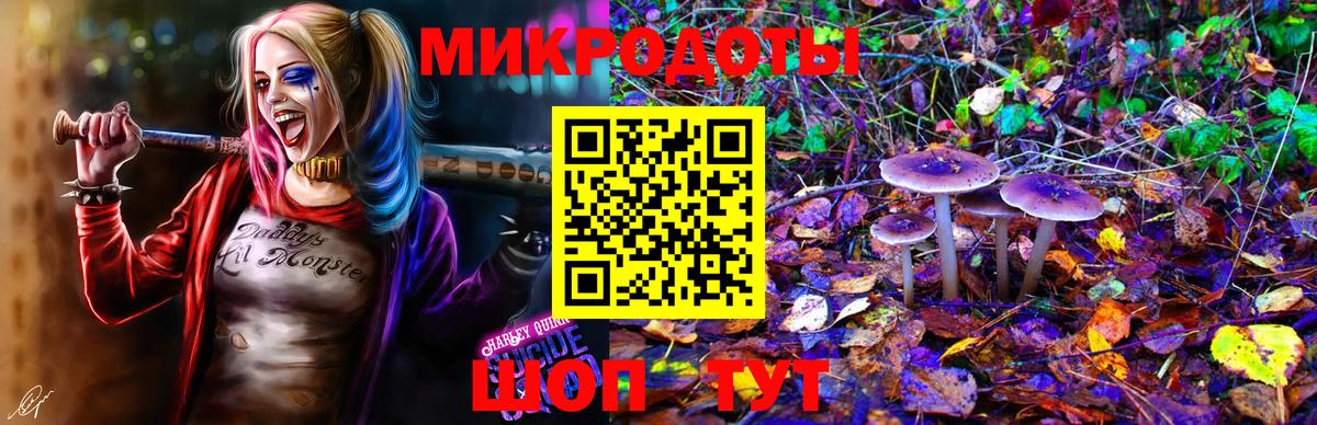 Сегежа  Галлюциногенные грибы GOLDEN TEACHER  Псилоцибиновые грибы Cubensis  Вход с VPN 